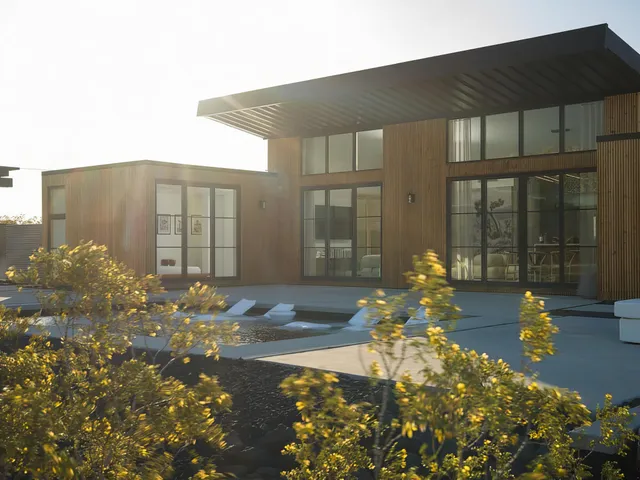 Wander Joshua Tree Sapphire #4