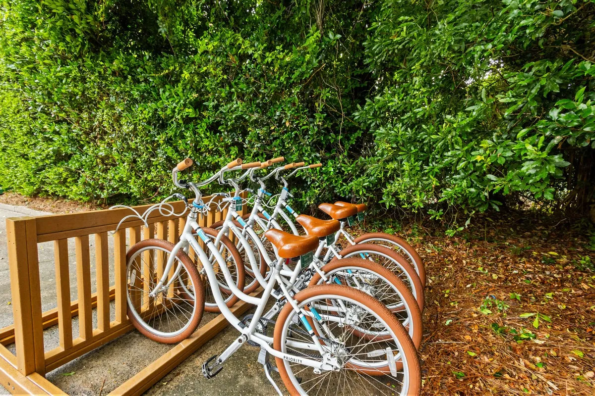 Wander Seacrest Beachfront #10