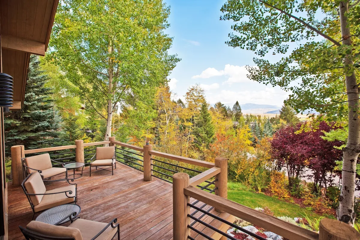 Wander Teton Pines #2