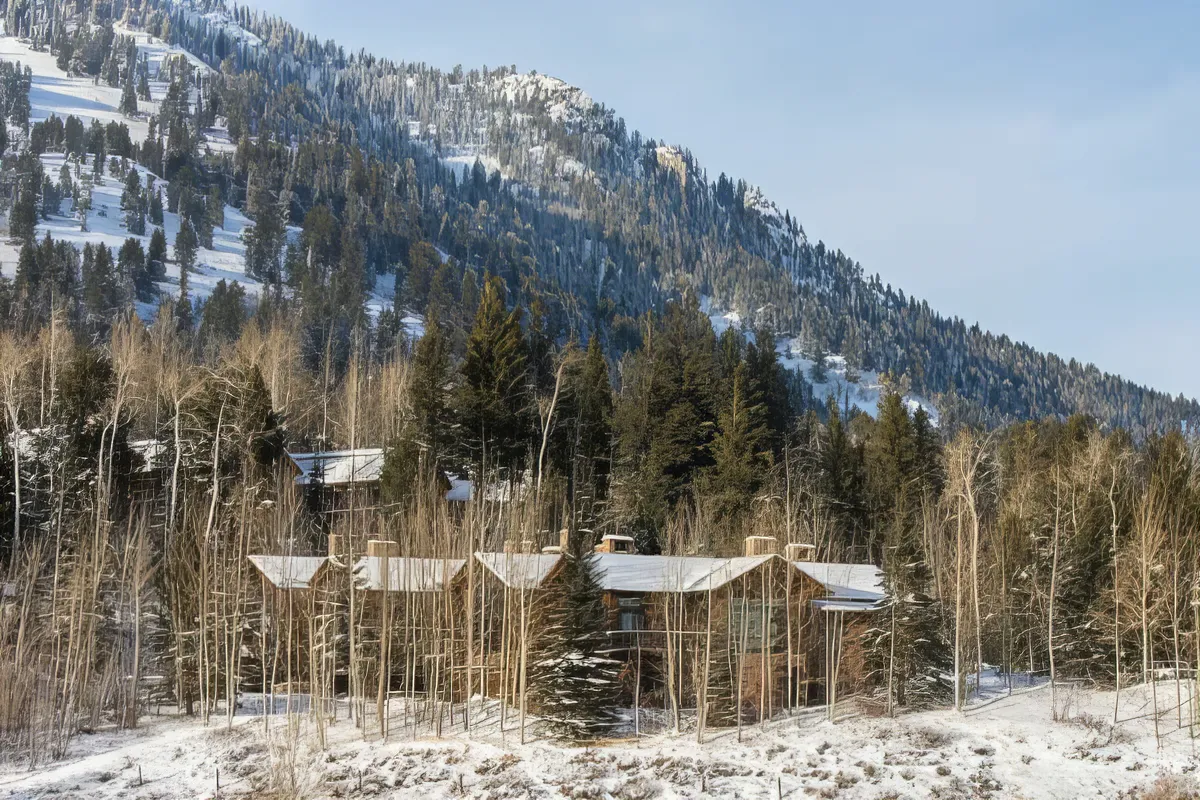 Wander Teton Timber #44