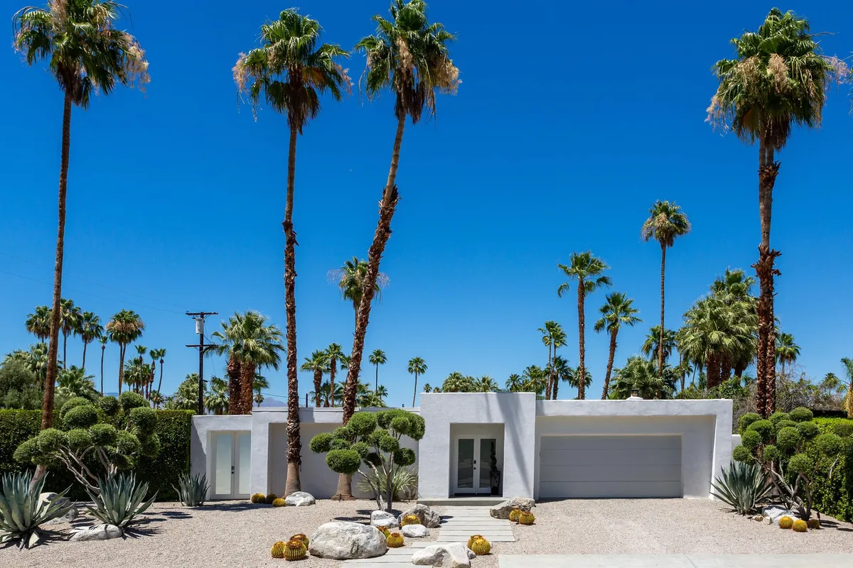 Wander Palm Springs Glow #4