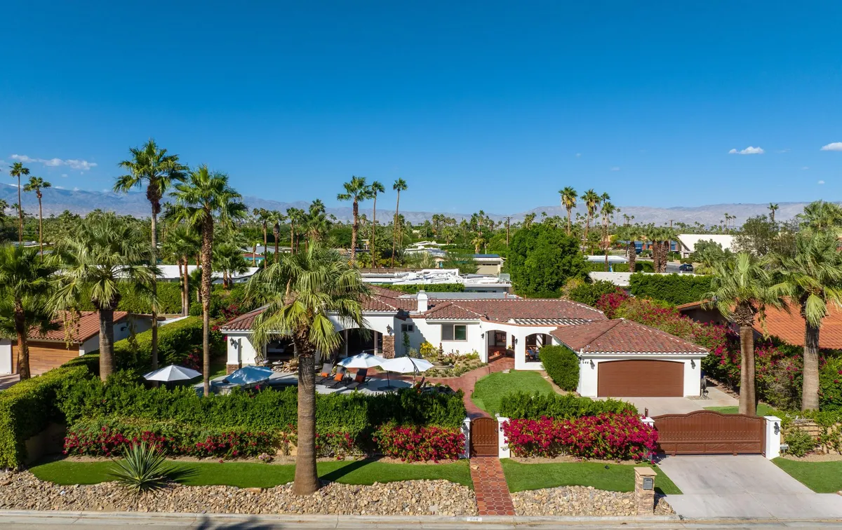 Wander Palm Springs Daze #5