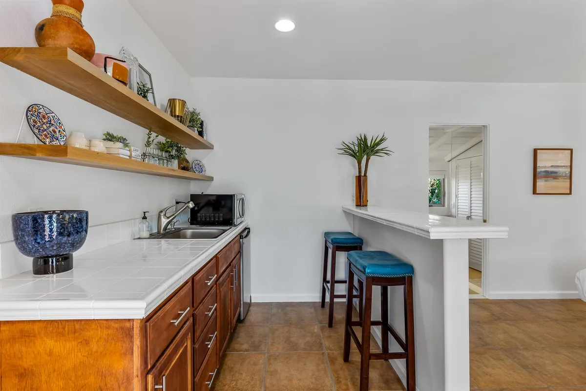 Wander Palm Springs Daze #37