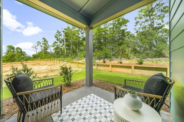 Wander Inlet Beach Shell #5