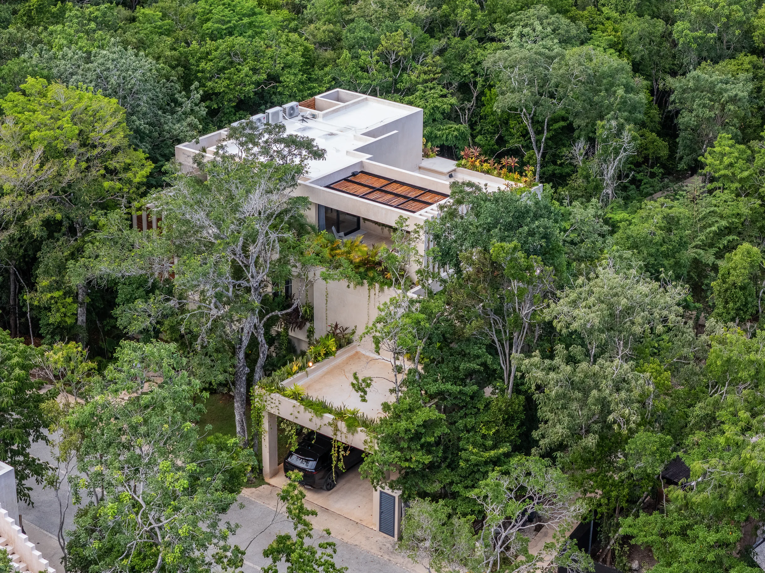 Wander Tulum Retreat #90