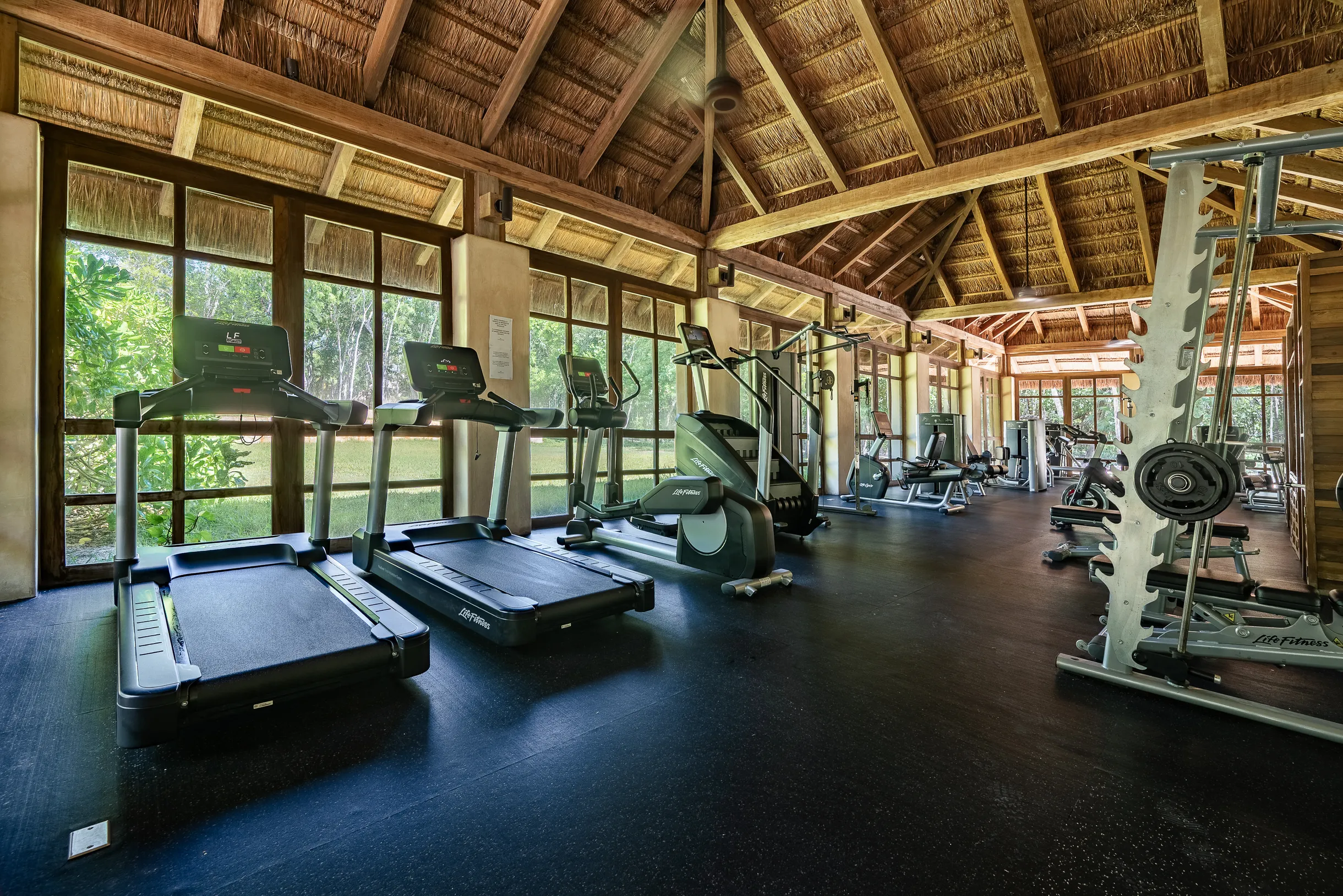 Wander Tulum Retreat #88