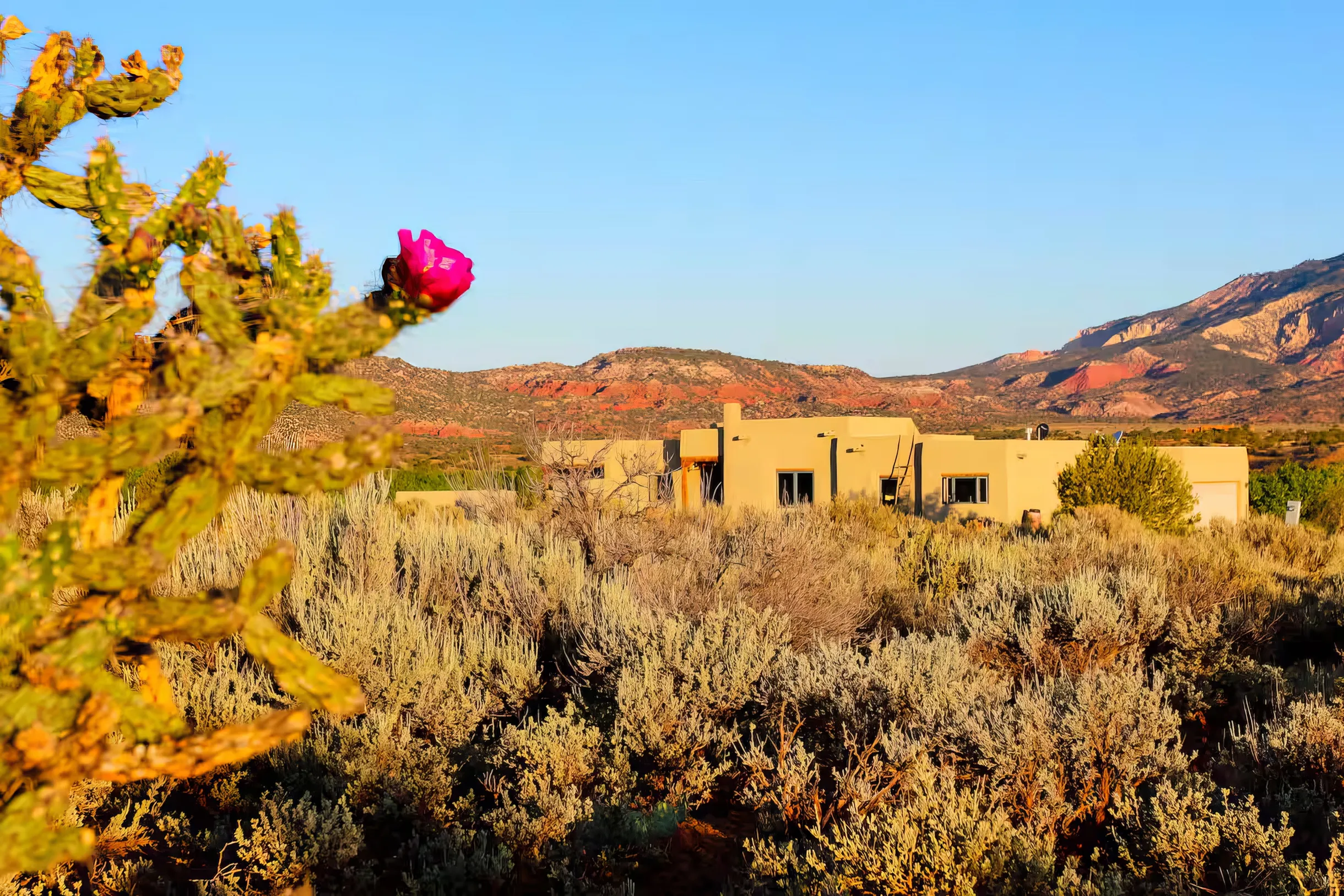 Wander Youngsville Vista #5