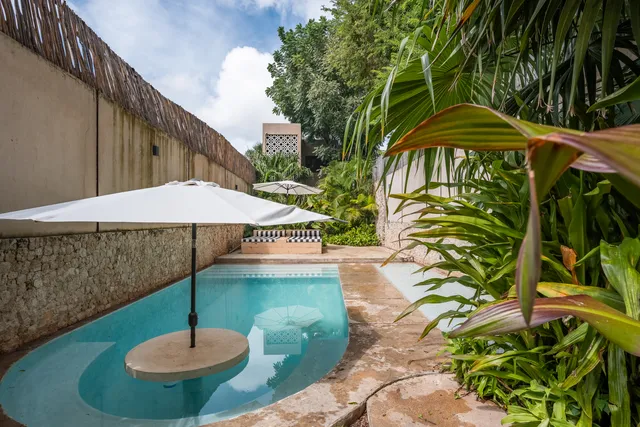 Wander Merida Grove #5