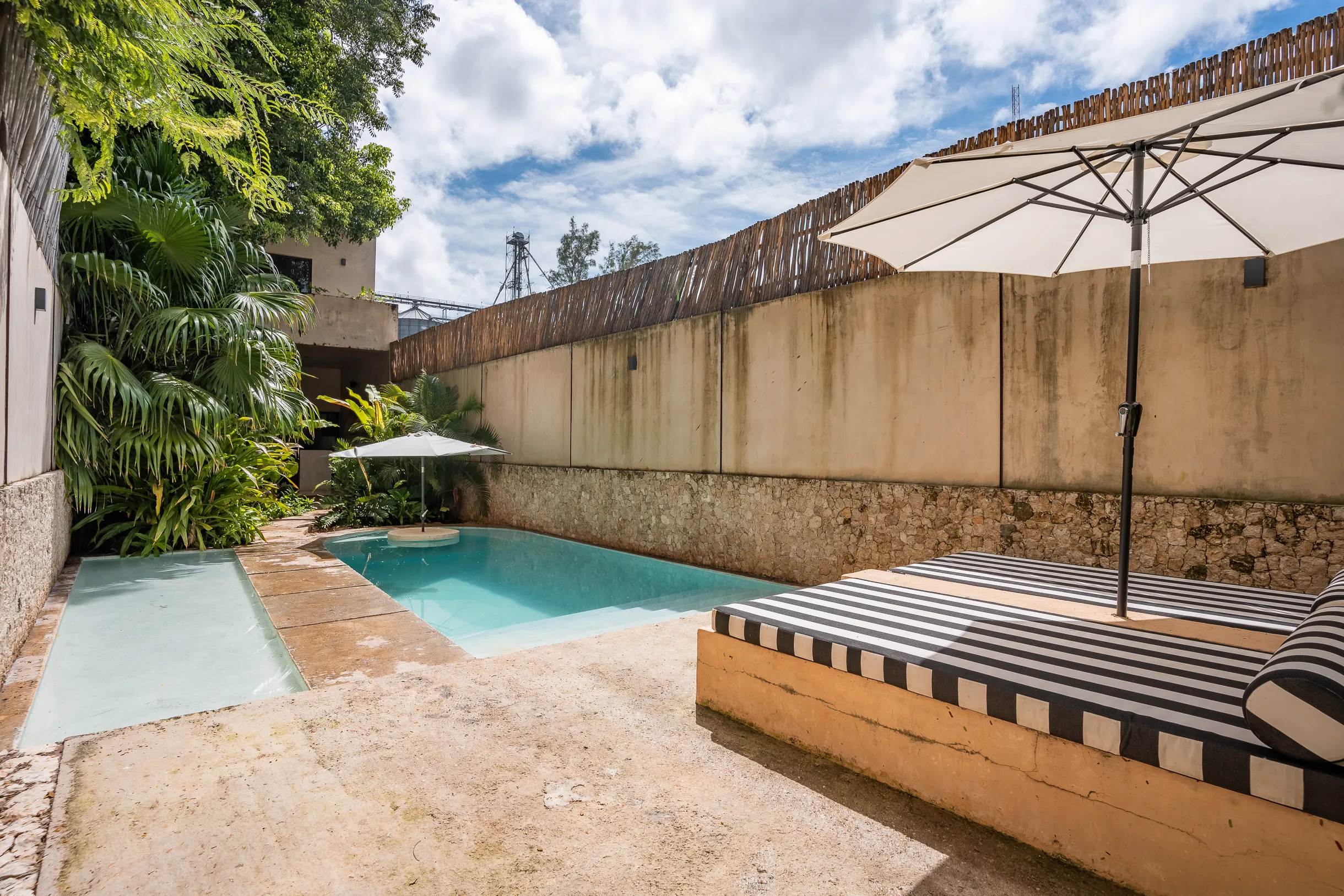 Wander Merida Grove #25