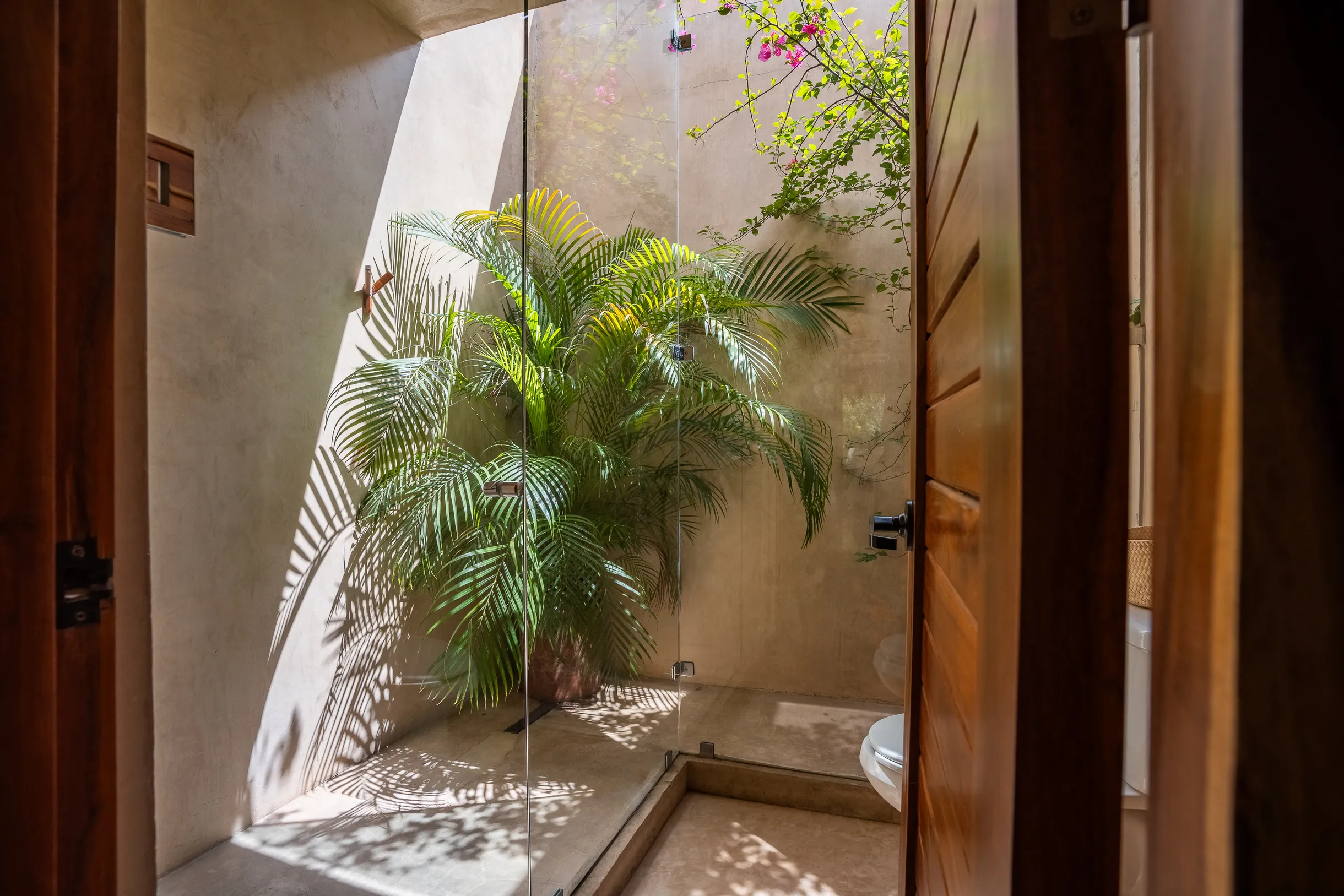 Wander Merida Grove #28