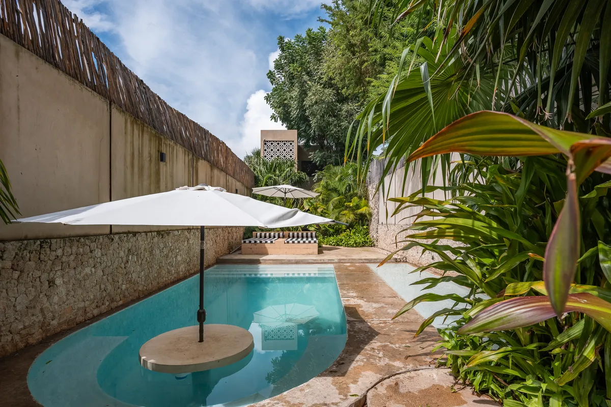 Wander Merida Grove #1