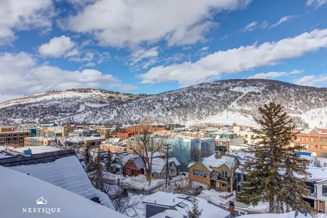 Wander Park City Timber