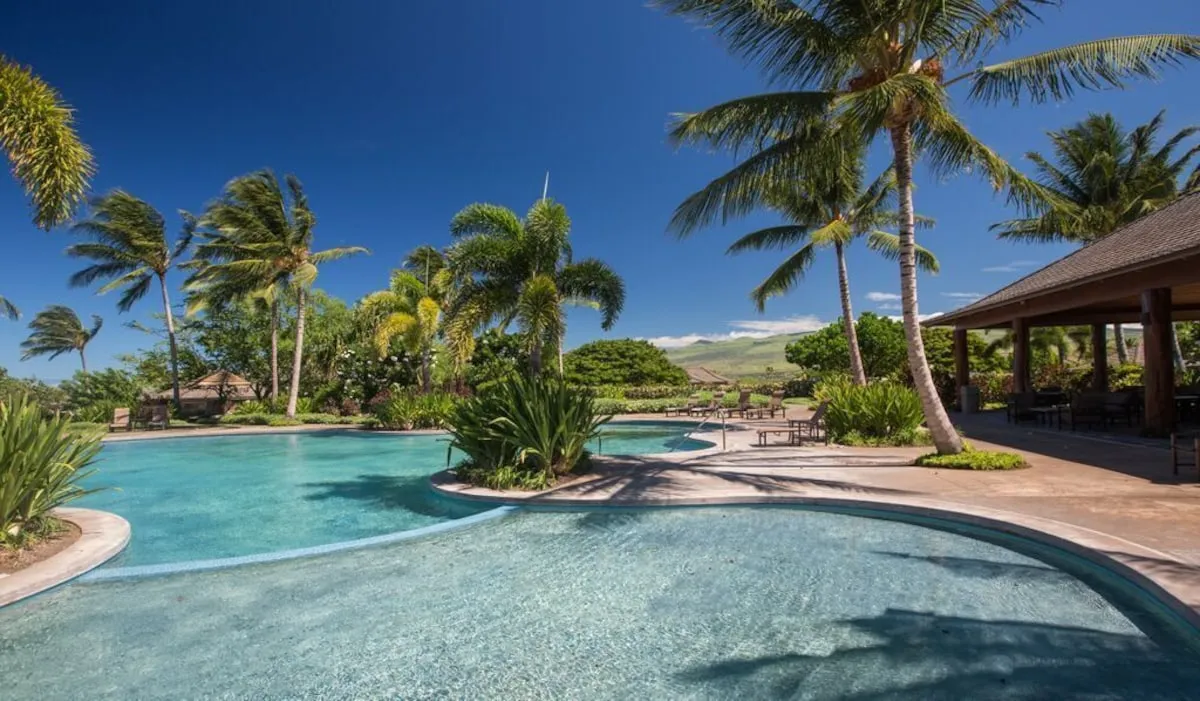 Wander Big Island Palms #2