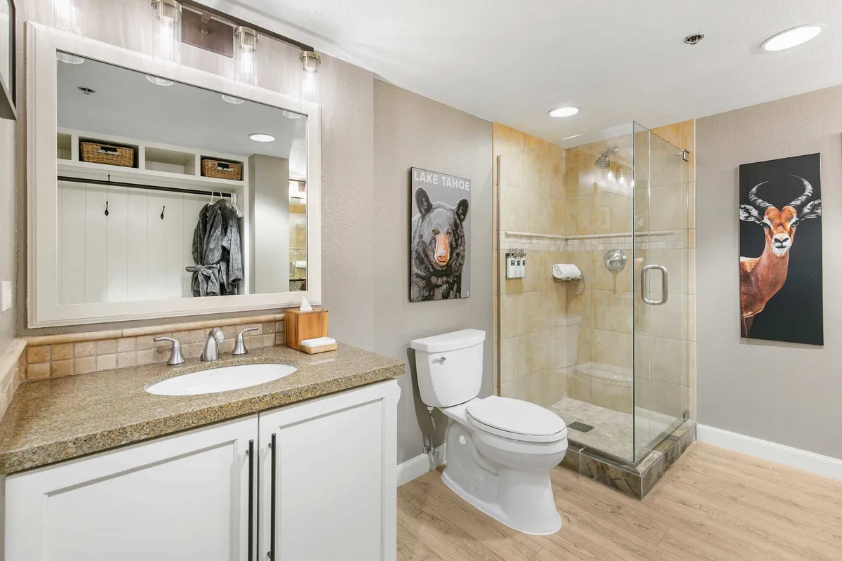 Wander Olympic Valley Peaks