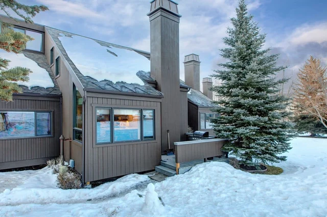 Wander Park City Willow #5