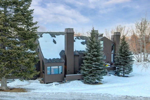 Wander Park City Willow #4