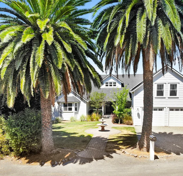 Wander Sonoma Bliss #5