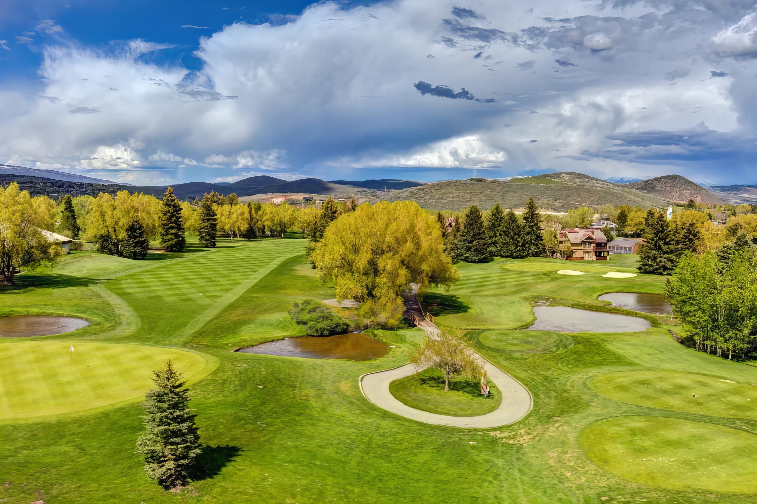 Wander Park City Pines #5