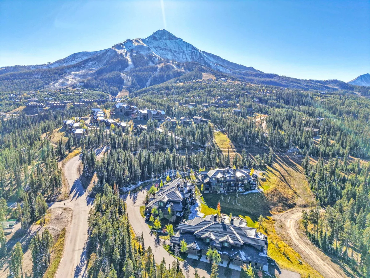 Wander Big Sky Timber #5