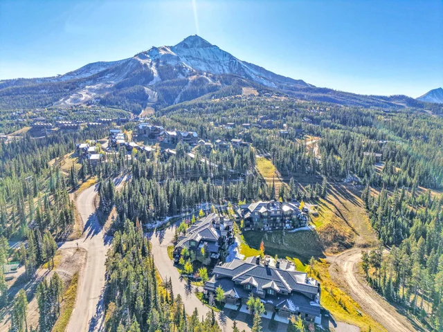 Wander Big Sky Timber #5