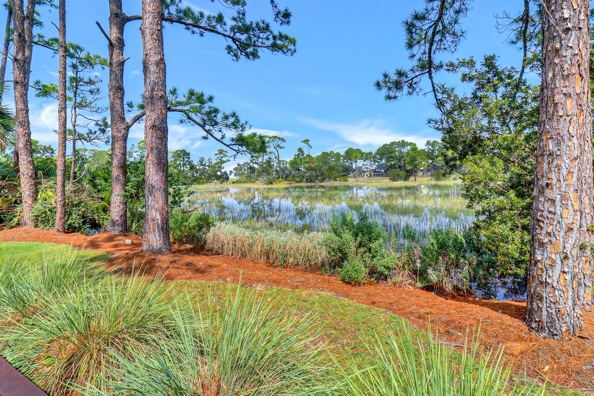 Wander Hilton Head Haze #44