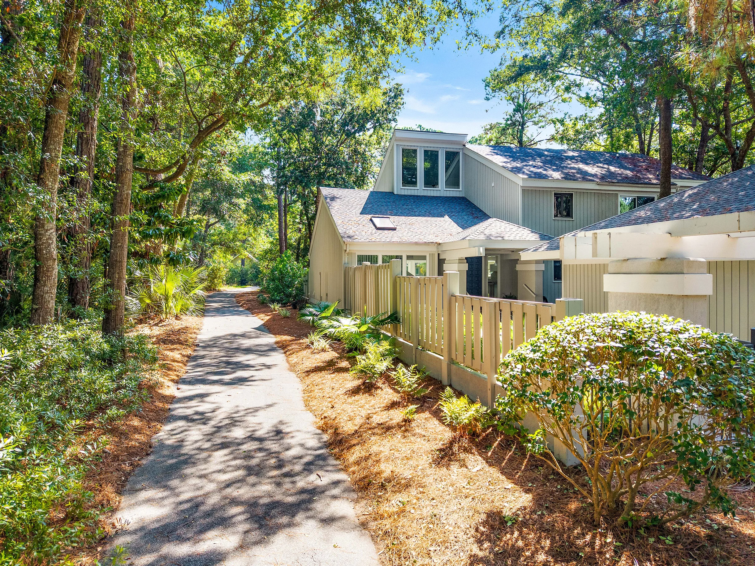 Wander Hilton Head Evergreen #5