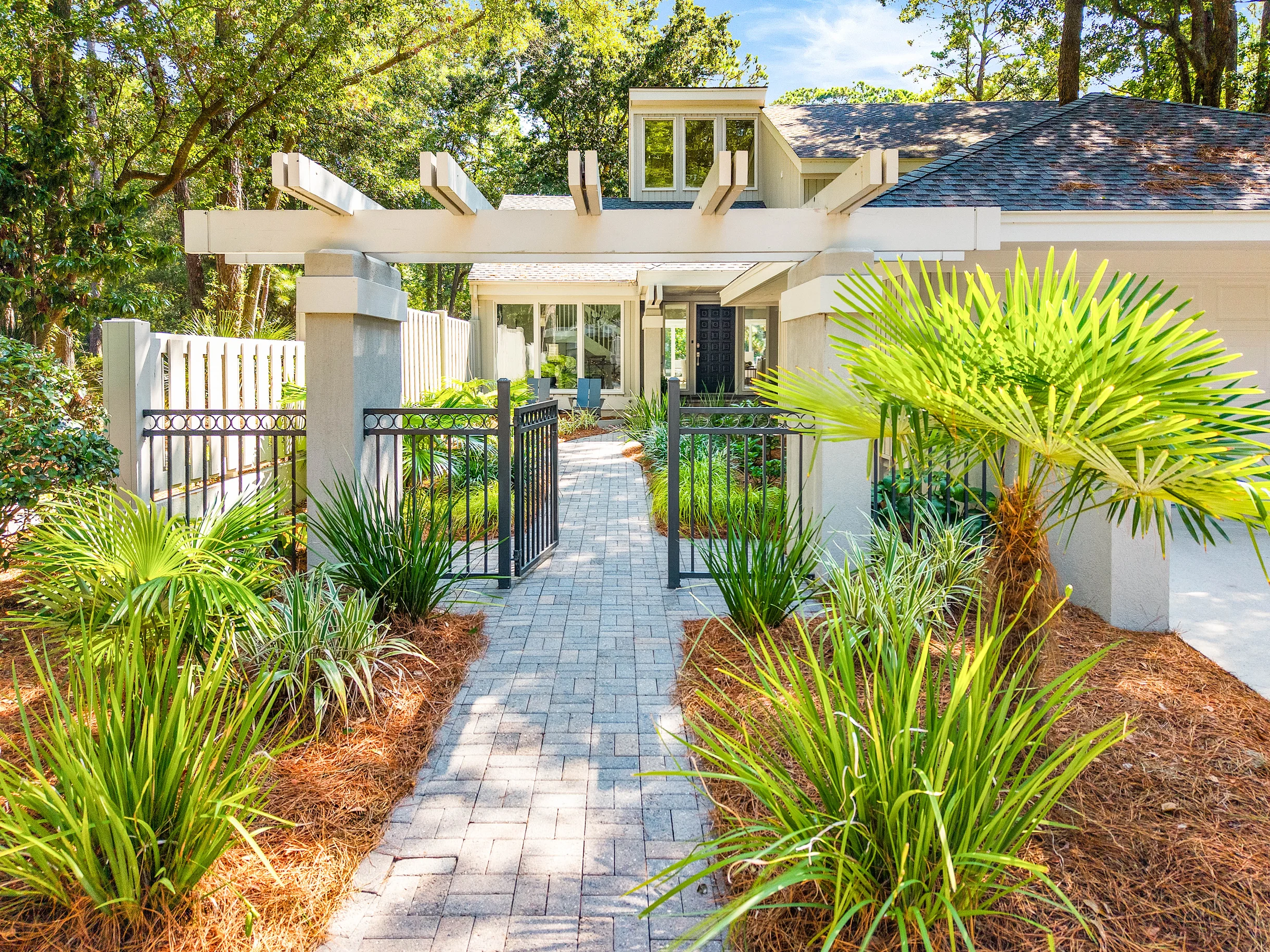 Wander Hilton Head Evergreen #42