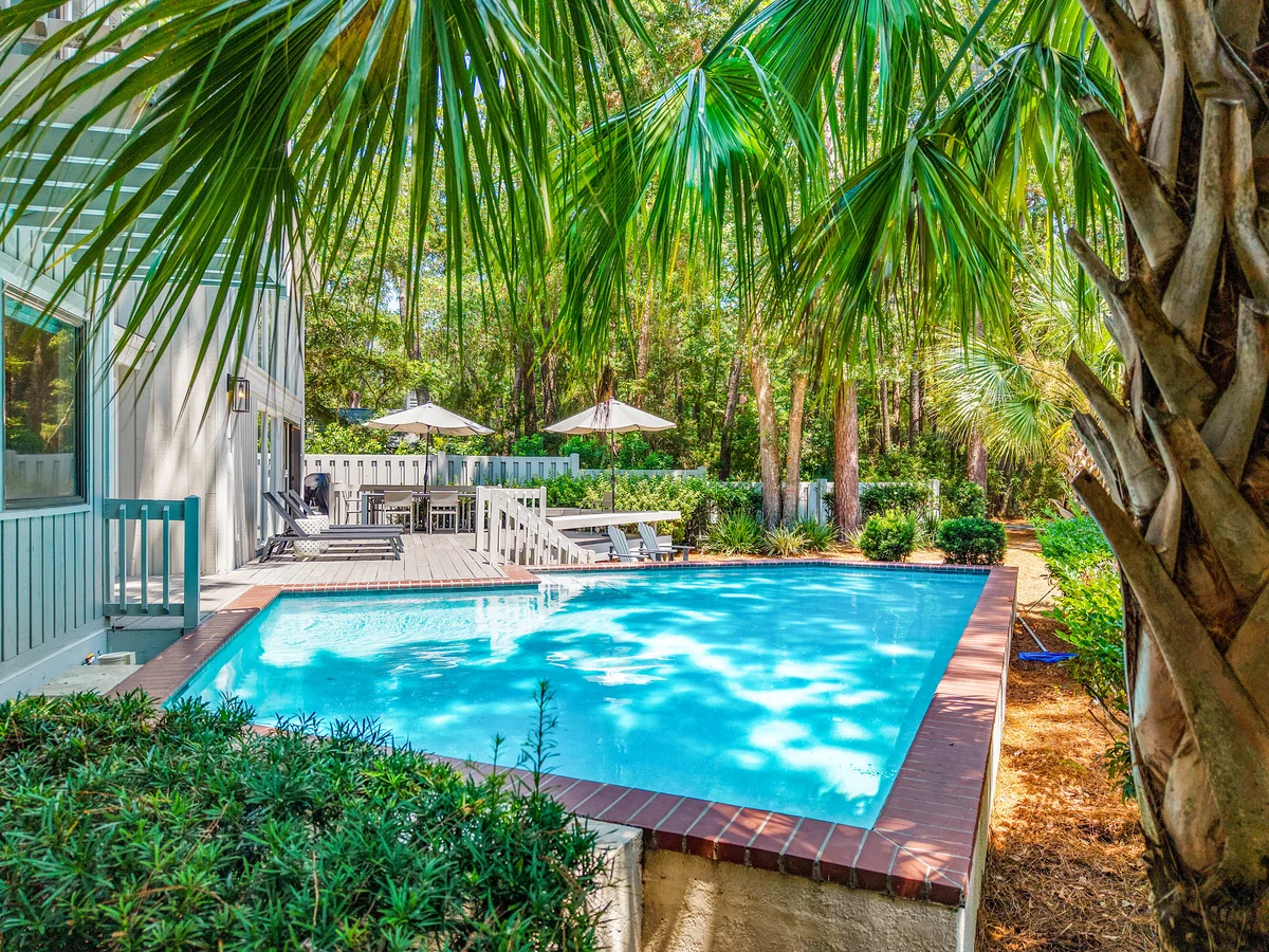 Wander Hilton Head Evergreen