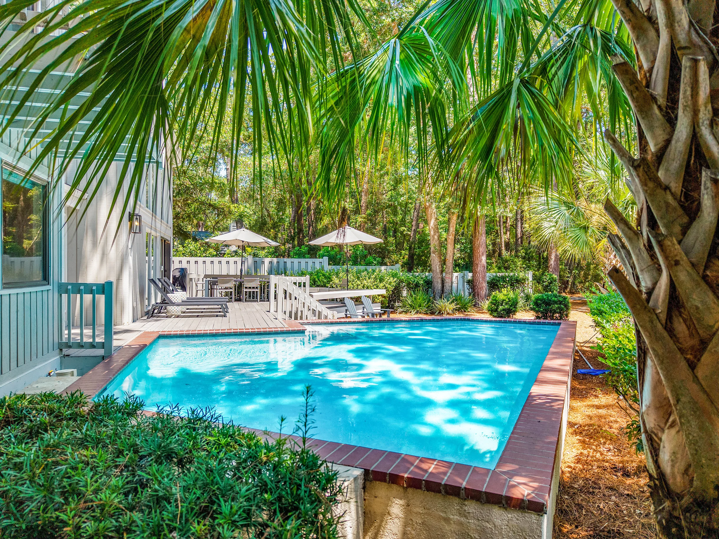 Wander Hilton Head Evergreen #5