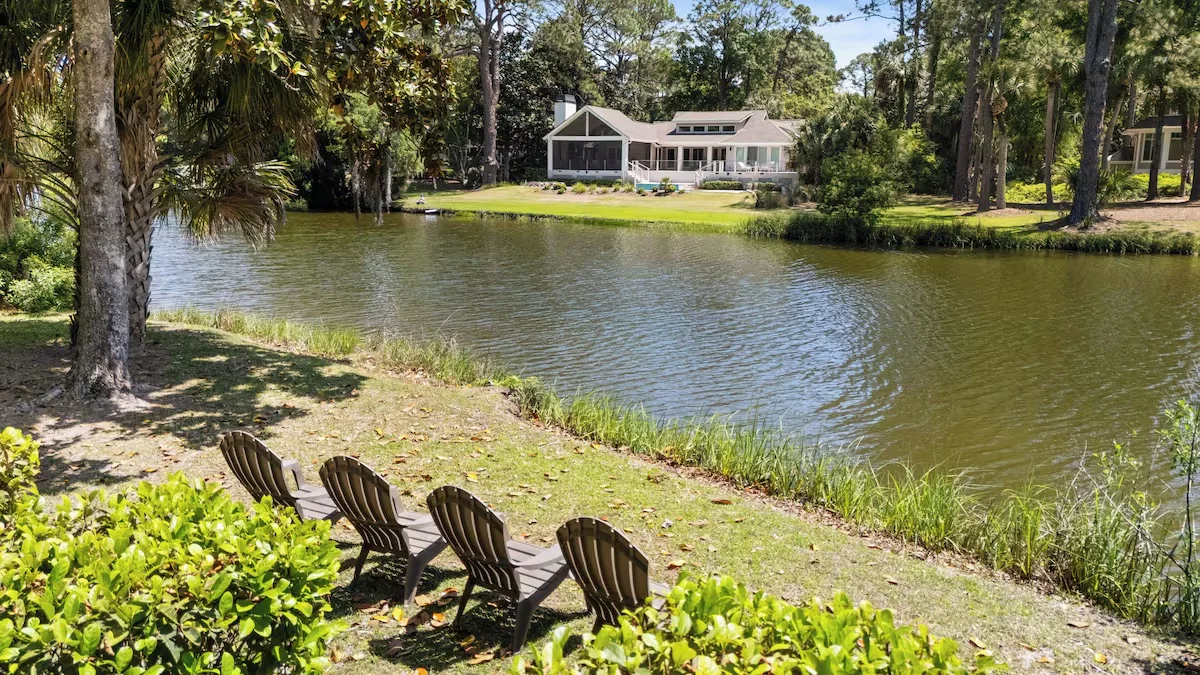 Wander Hilton Head Pines #2