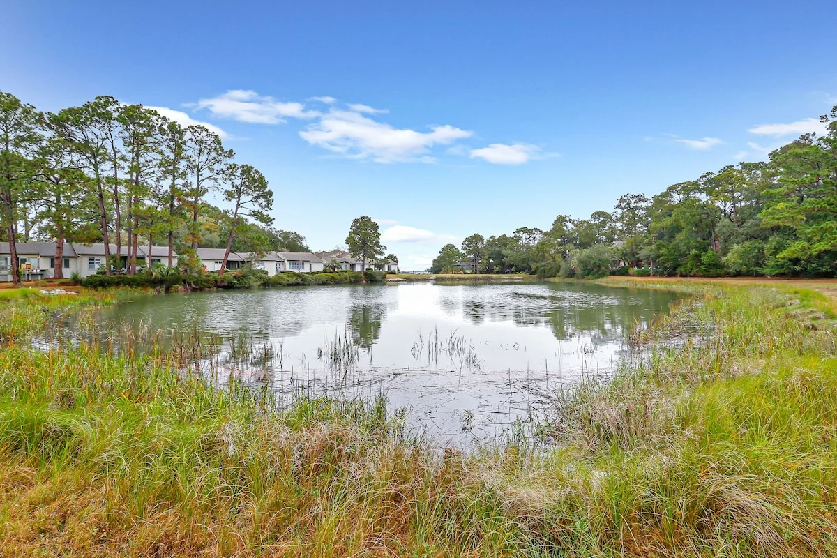Wander Hilton Head Sanctuary #40
