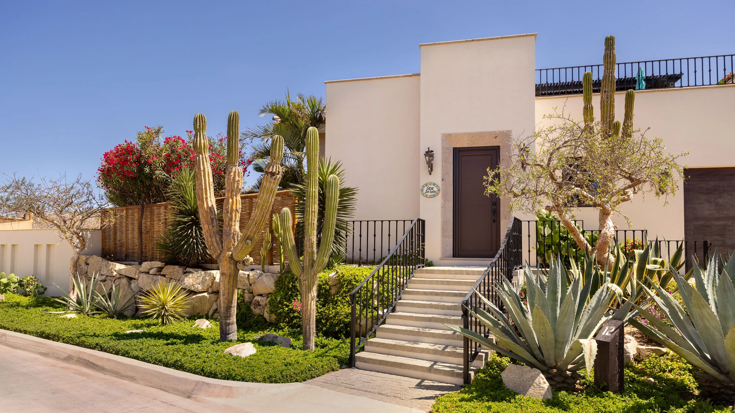 Wander Cabo Pacific Dunes #4