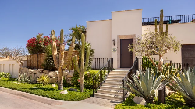 Wander Cabo Pacific Dunes #4