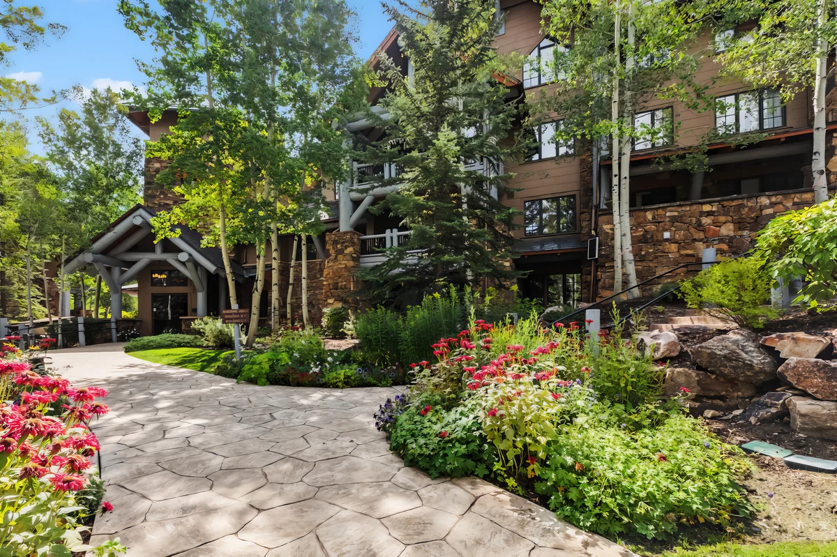 Wander Beaver Creek Mountain