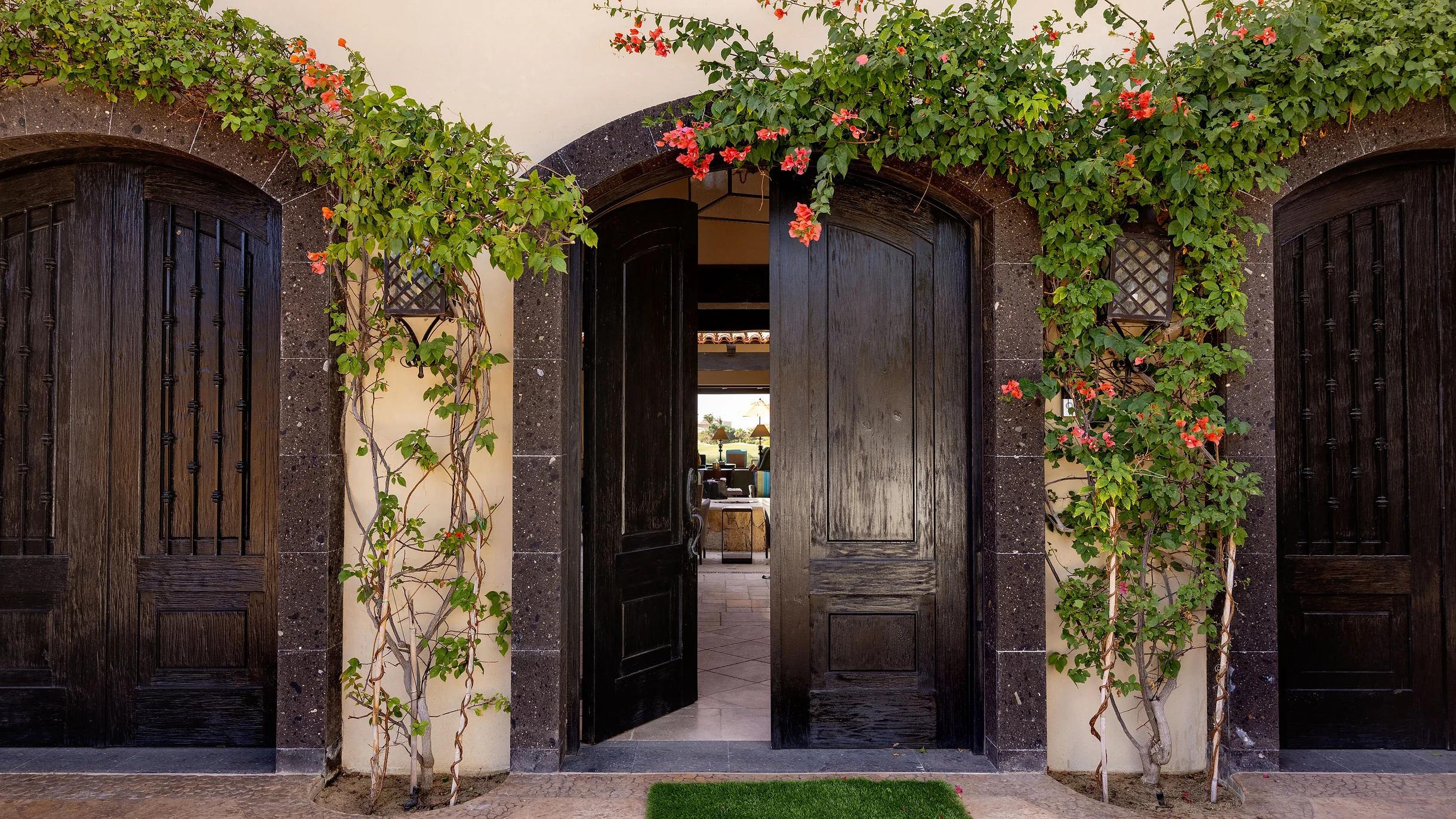 Wander Cabo Solace #37