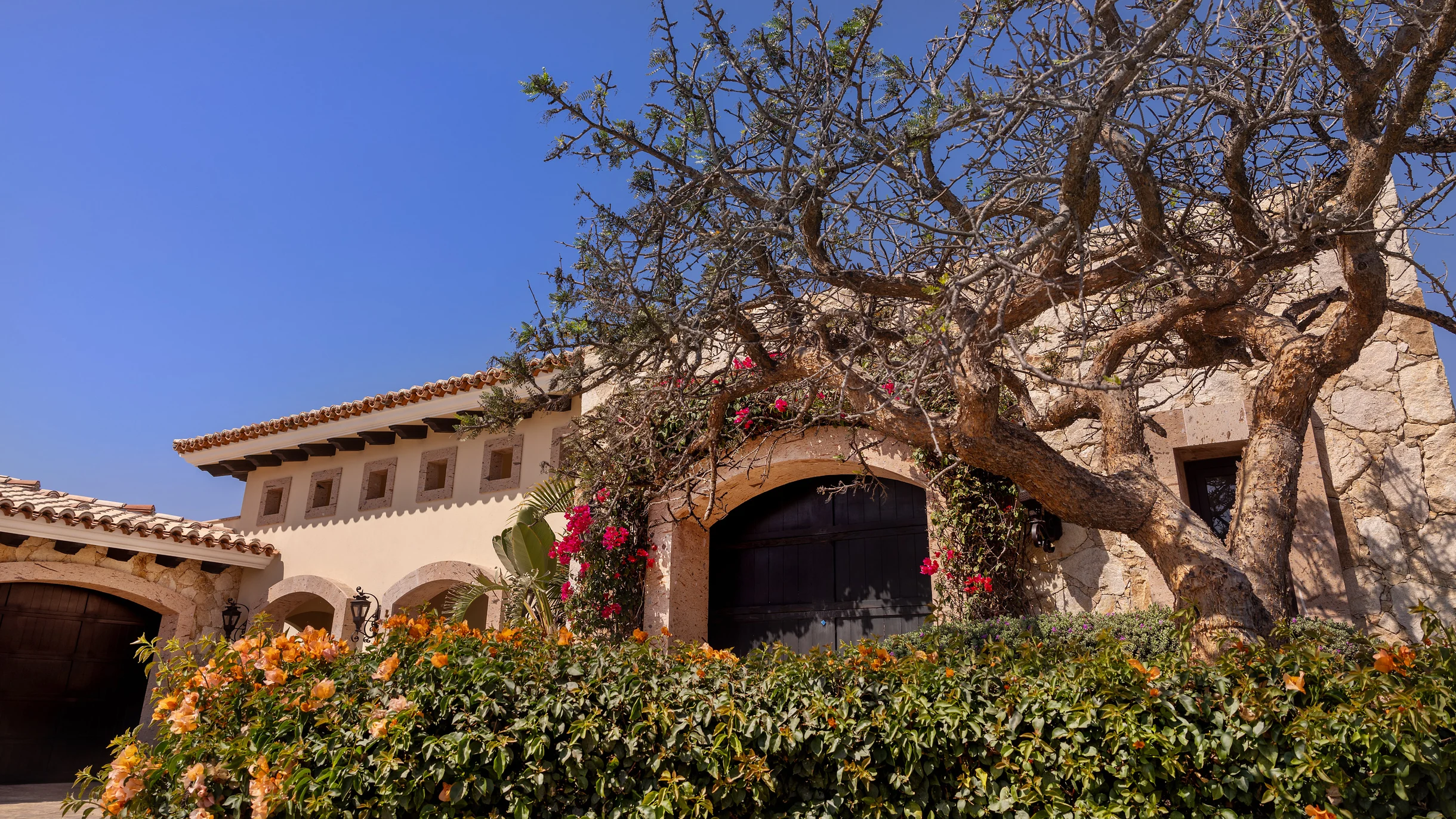 Wander Diamante Shores #14