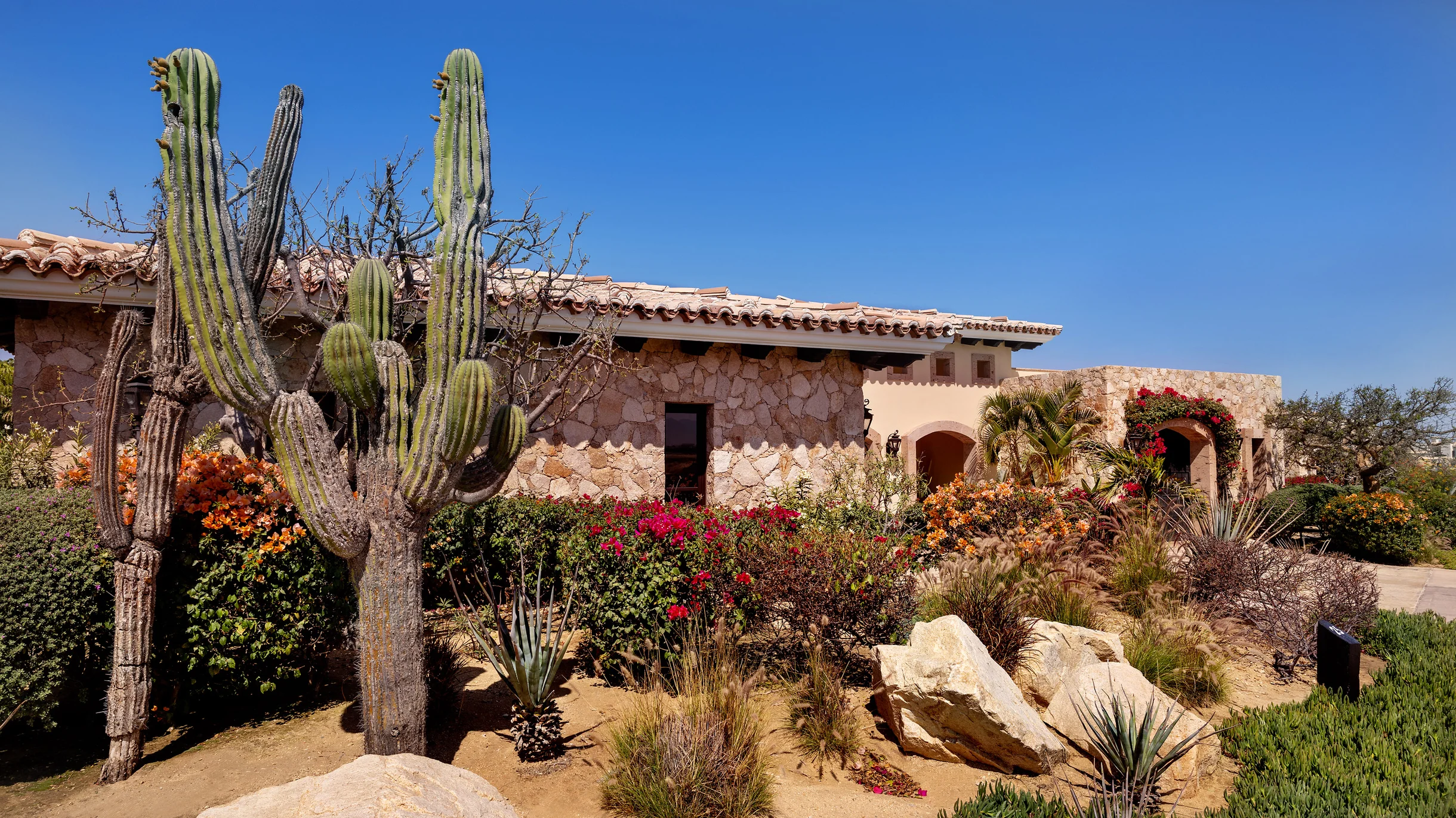 Wander Diamante Shores #26