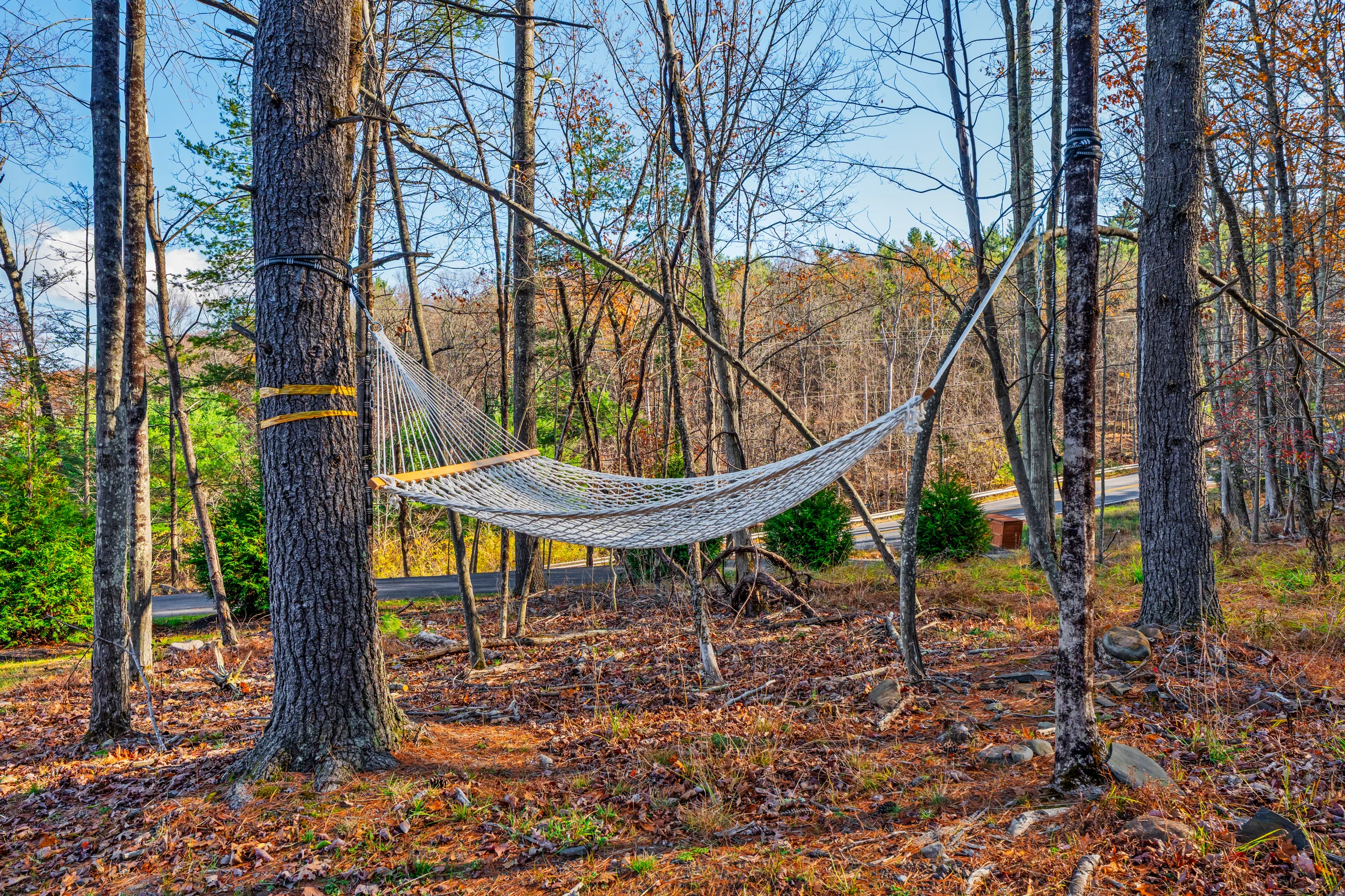 Wander Woodstock Ridge #83