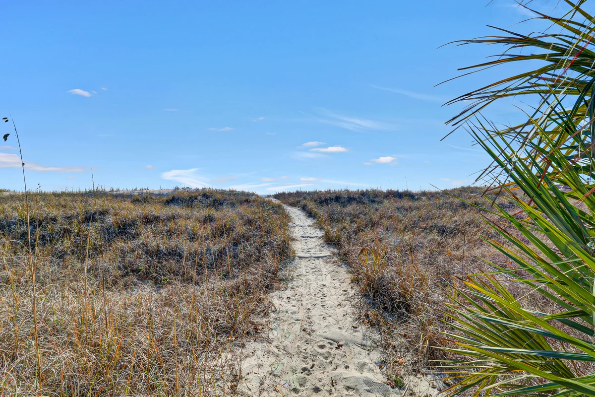 Wander Hilton Head Lookout #53