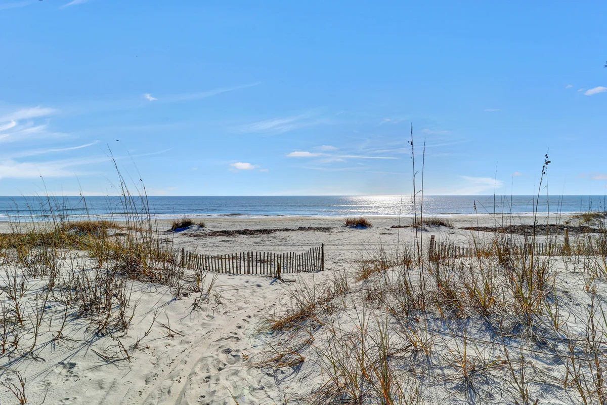 Wander Hilton Head Lookout #56
