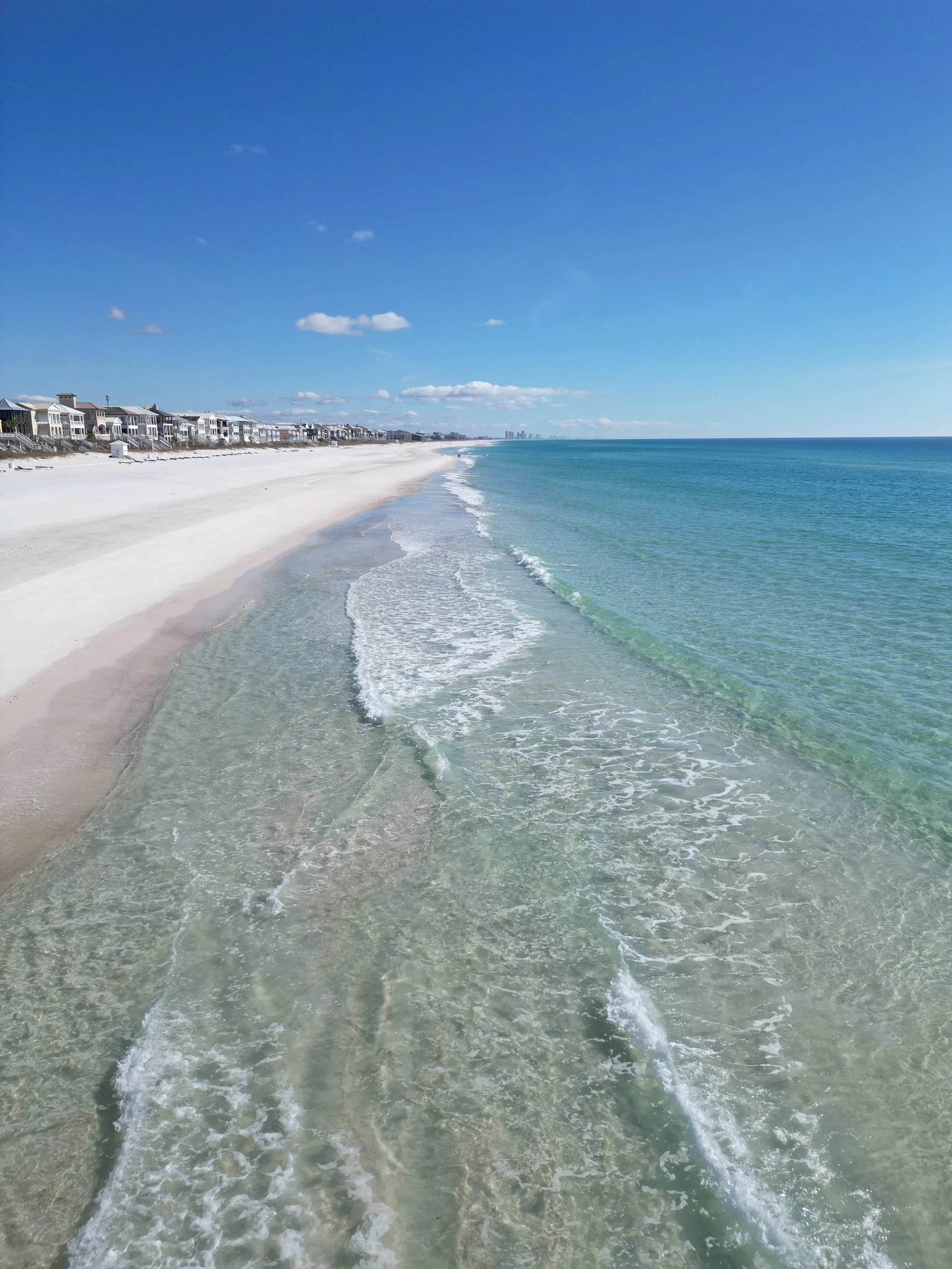 Wander Panama City Palms #54