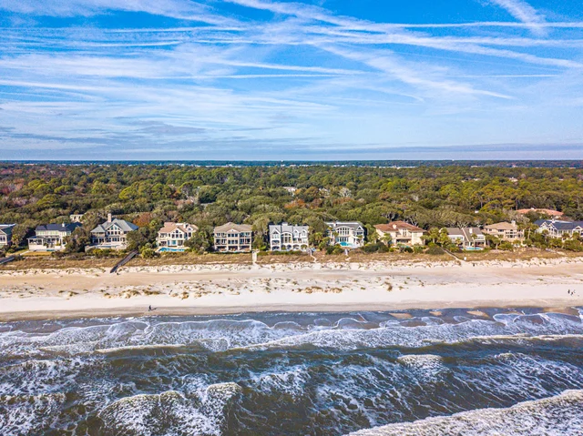 Wander Hilton Head Tropic #4