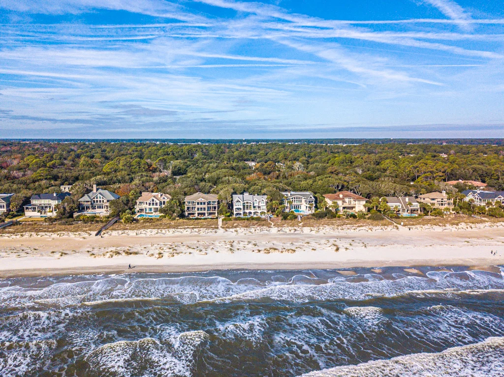 Wander Hilton Head Tropic