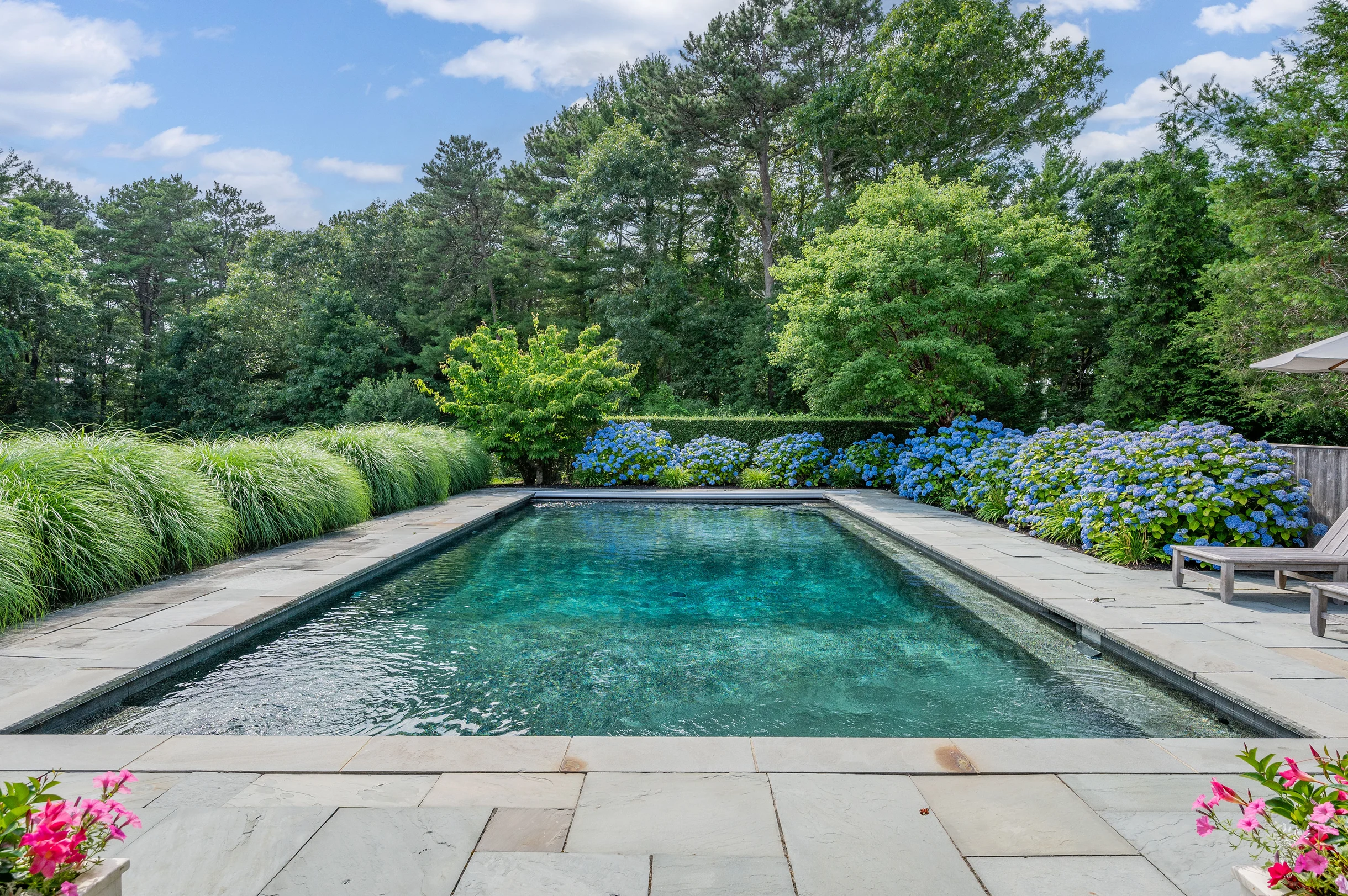 Wander Cape Cod Garden #2