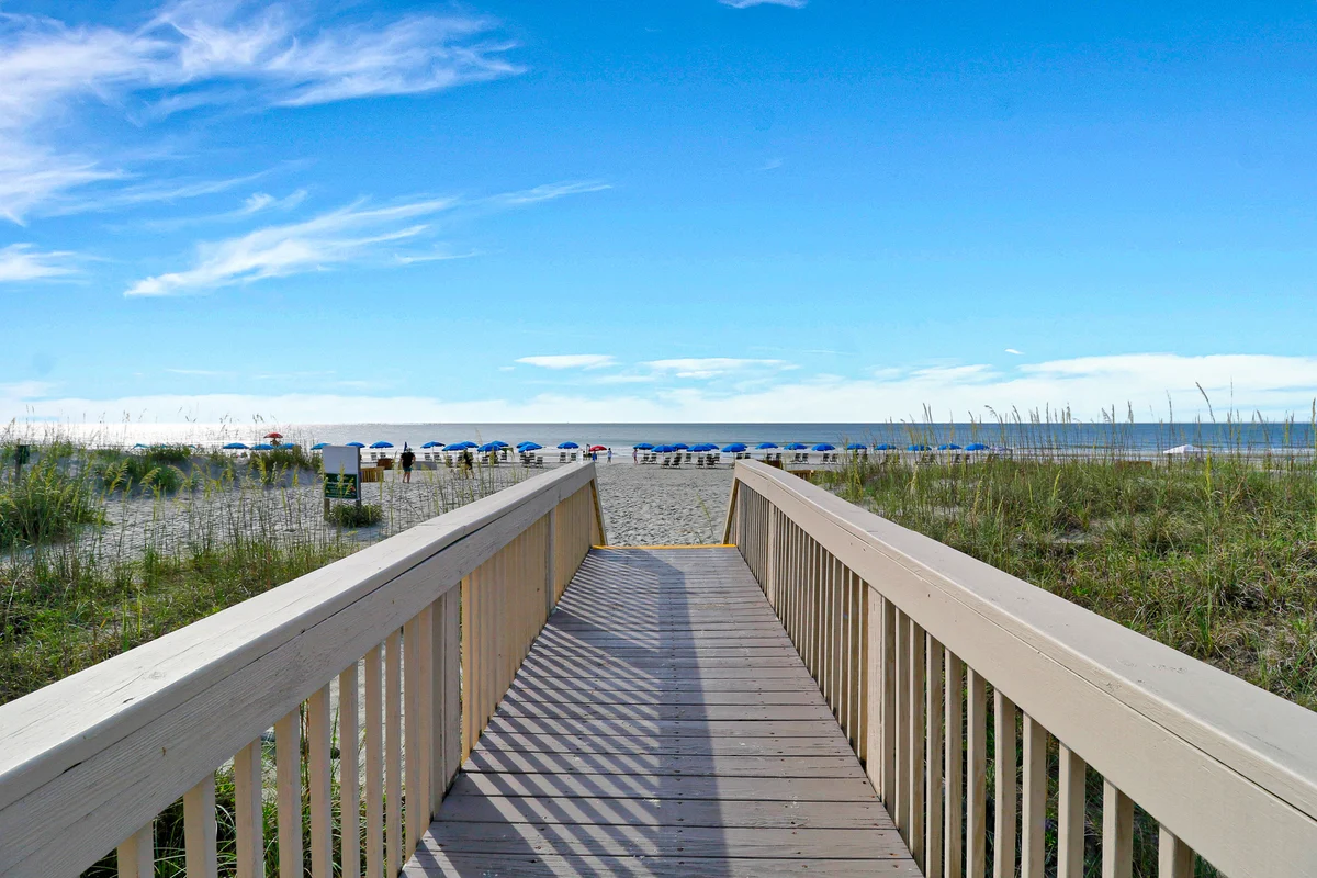 Wander Hilton Head Zen #67