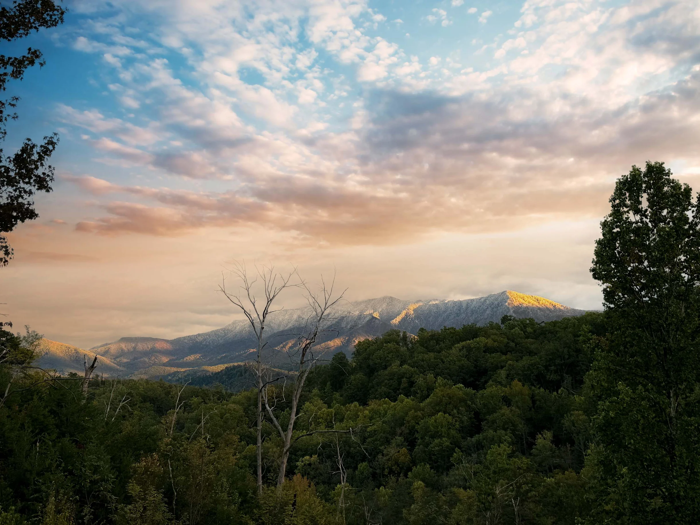 Wander Gatlinburg Peak #5