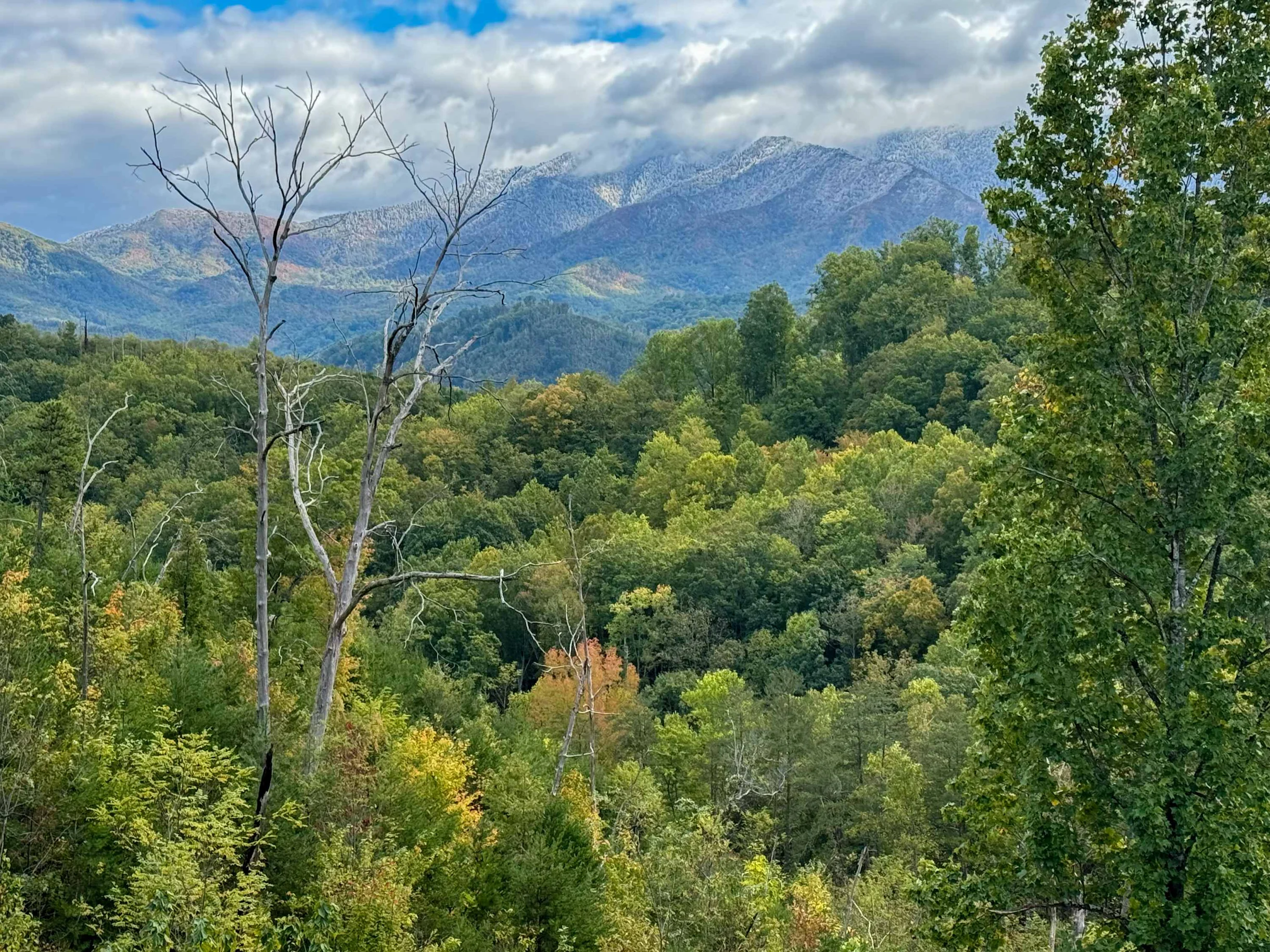 Wander Gatlinburg Peak #37