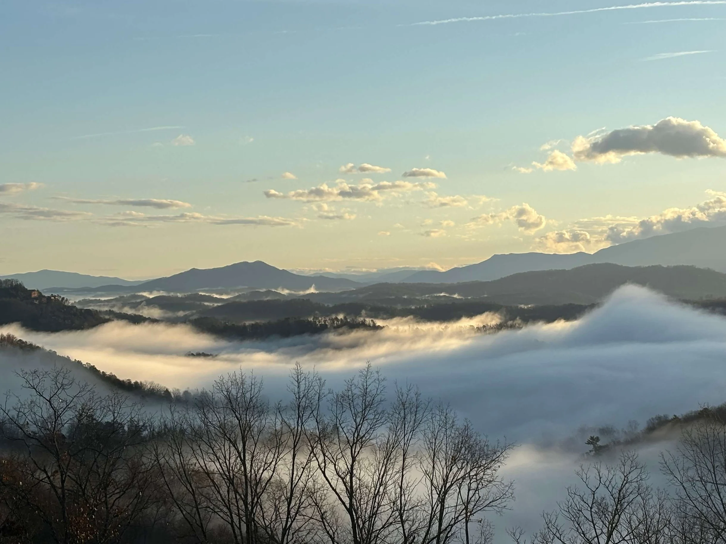 Wander Sevierville Pines #55