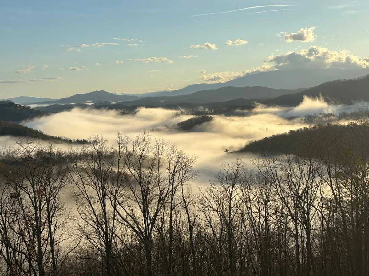 Wander Sevierville Pines #54