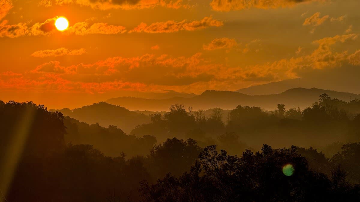 Wander Sevierville Glade